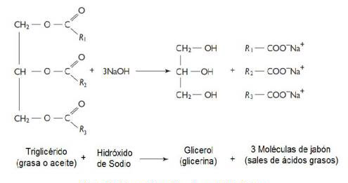 Saponificación - Reacción química del jabón